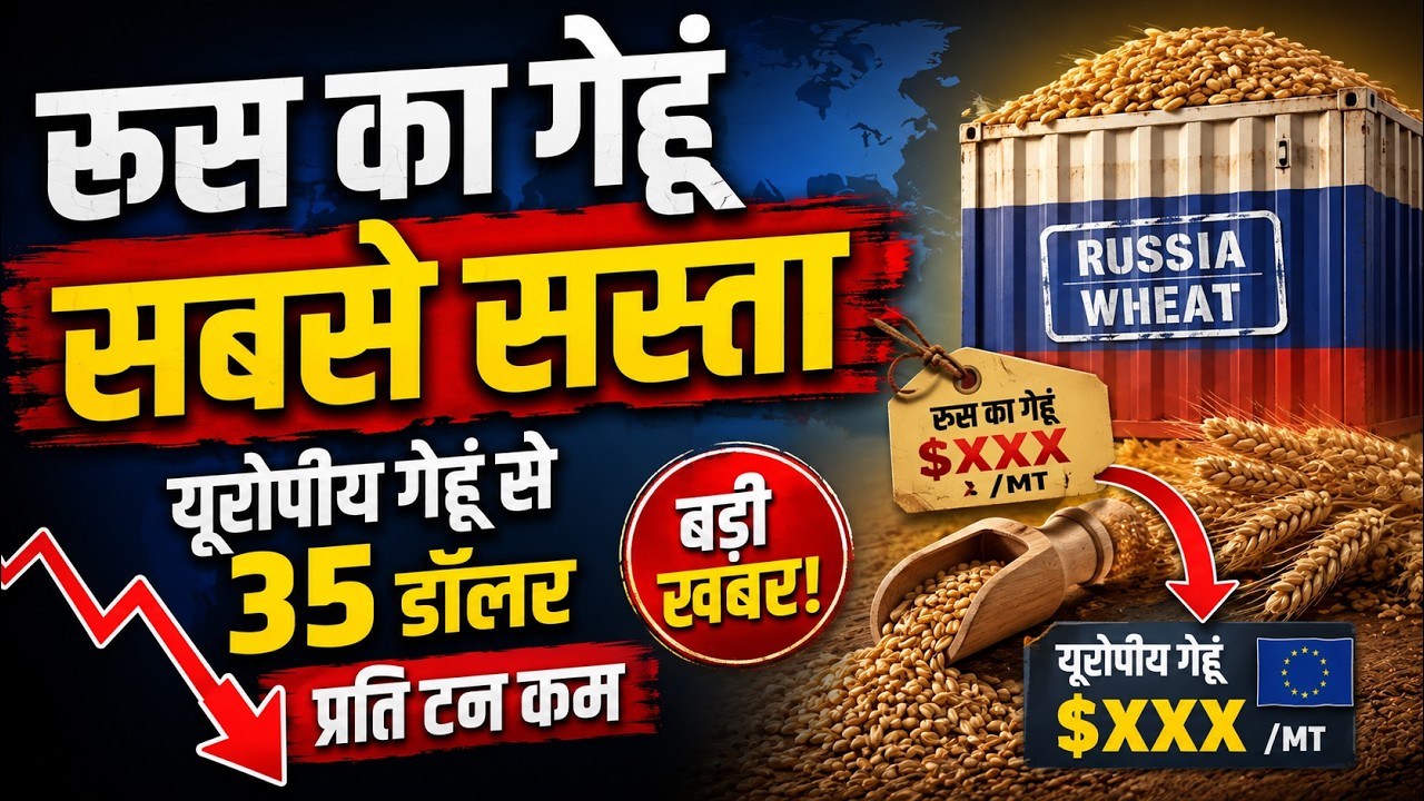 रूस का गेहूं  सबसे सस्ता ! यूरोपीय गेहूं से 35 डॉलर प्रति टन कम ! #wheat #gehu #grain #kisan #agri
