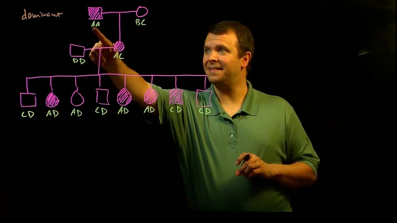 Genetic mapping in humans