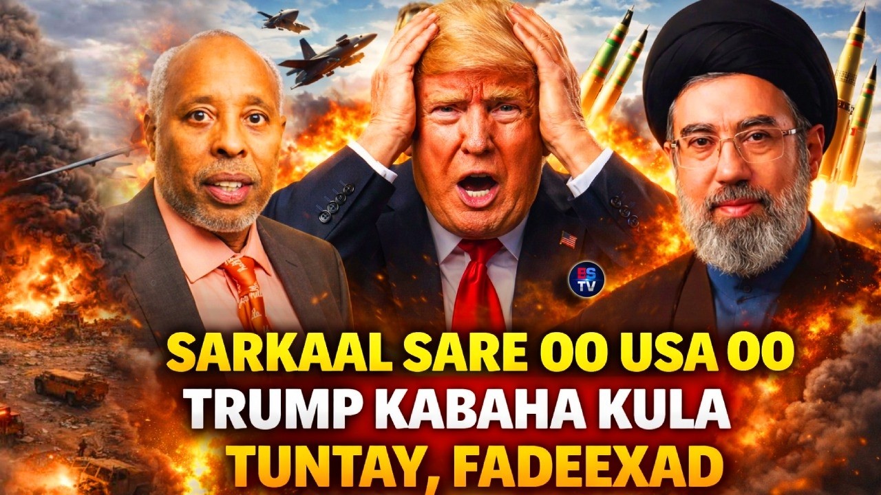 SARKAAL SARE OO AQALKA CAD KA TIRSAN OO SIR CULUS FASHILAY