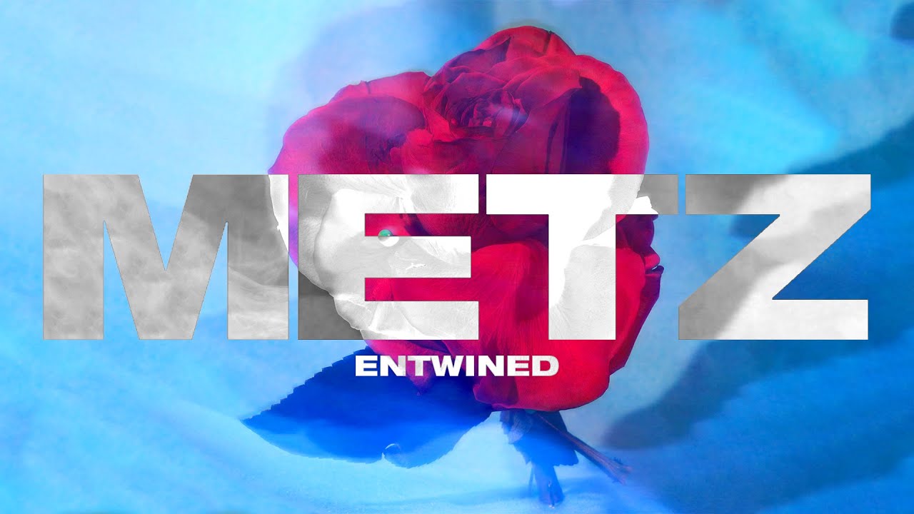 METZ - Entwined (Street Light Buzz) (Official Audio)