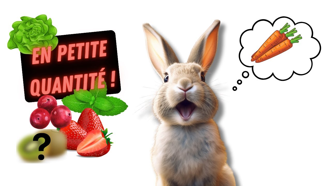 8 ALIMENTS pour les HUMAINS qui RÉGALERONT vos LAPINS en FRIANDISES ( En plus c'est sain ! )