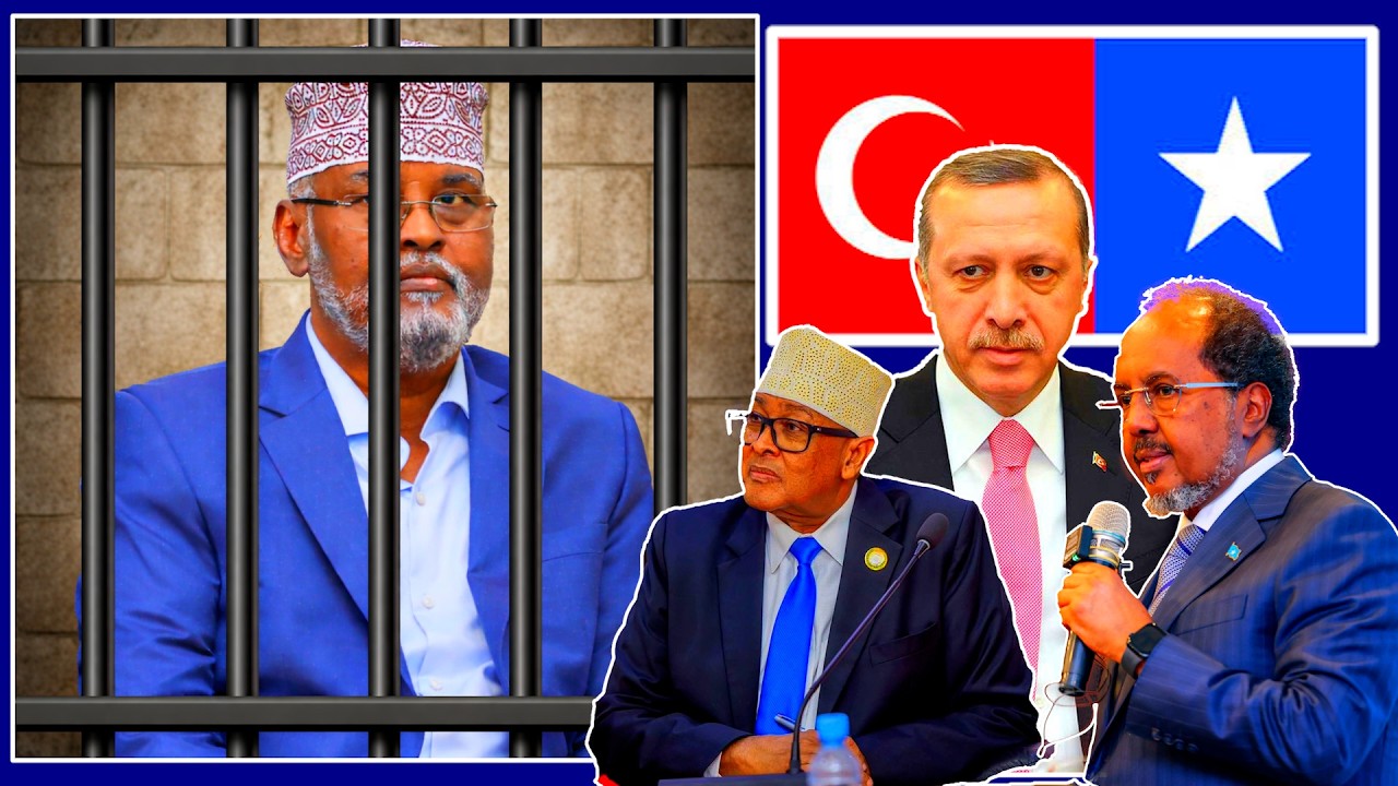 Deg Deg Xariga Madobe, Gusha Villa Somalia, Dagalka Awdal, Go'aanka S/land