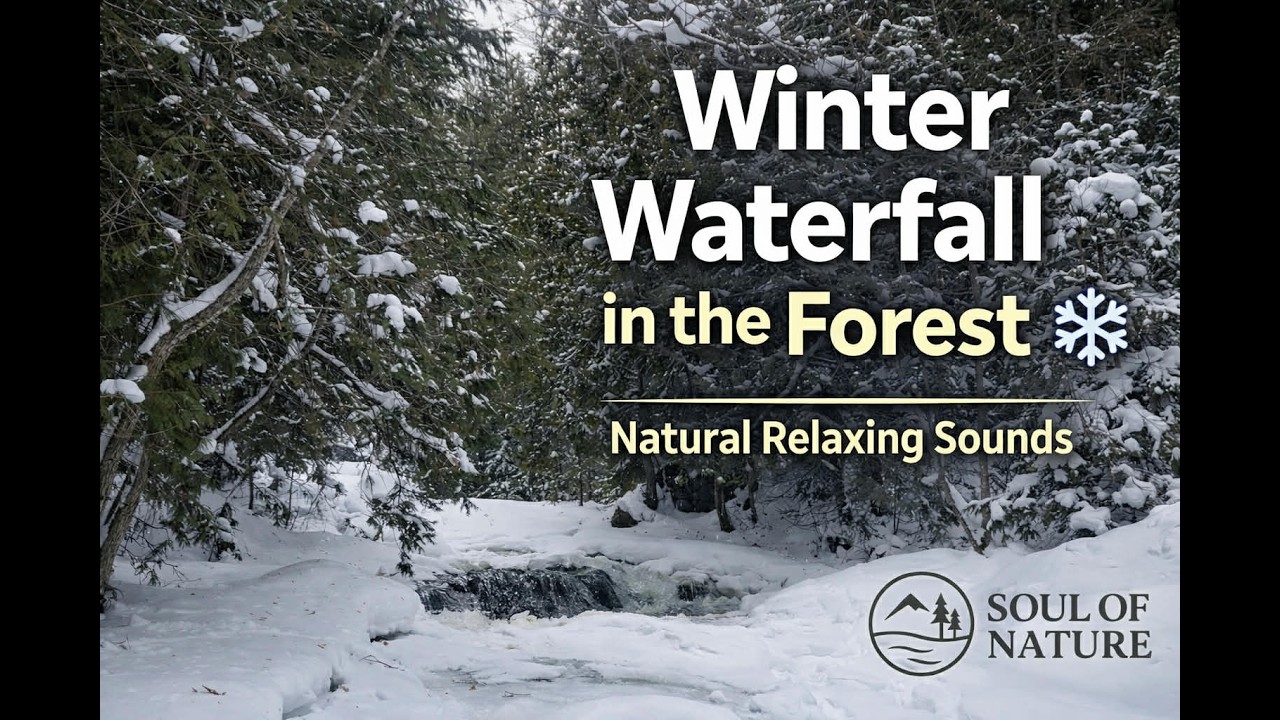 Winter Waterfall in the Forest ❄️🌲Natural Relaxing Sounds