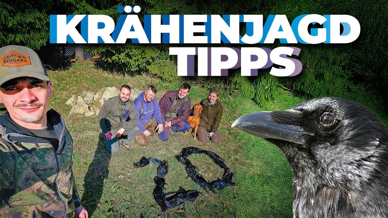 Krähenjagd: Tarnung & Tarnstand! Haben wir alles beachtet? 