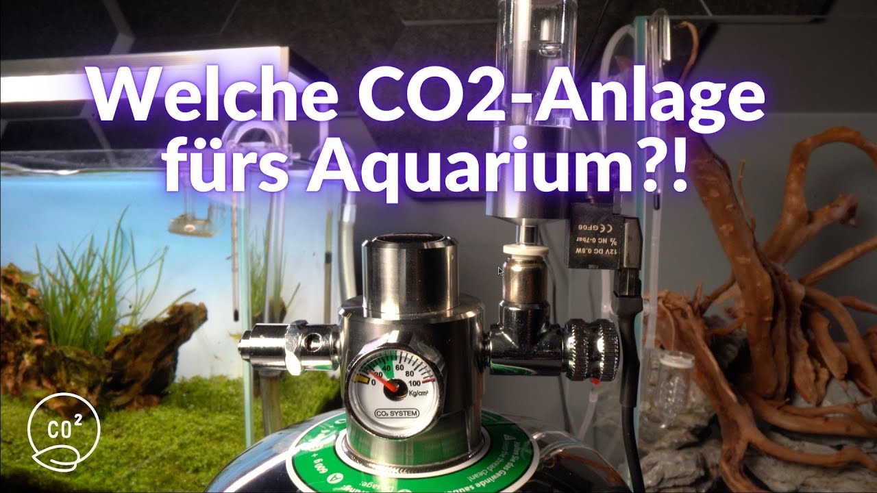 Welche CO2 Anlage fürs Aquarium? Chemische CO2 Anlage, Bio CO2 oder Druckgas?