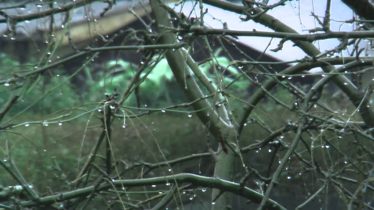 Panasonic SD9 Image Stabilisation at work