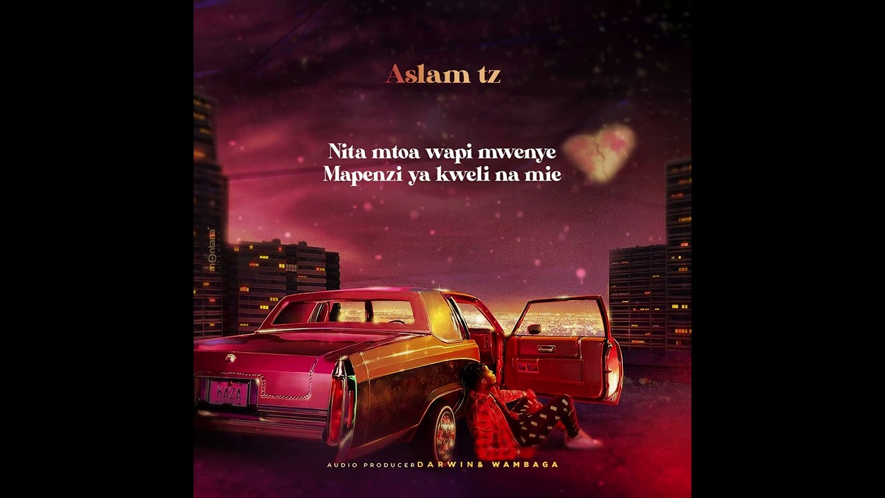 Aslam Tz - Hanipendi Tena (Official Music Lyrics)