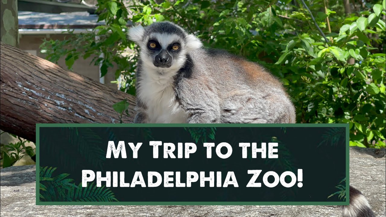 My Trip to the Philadelphia Zoo!