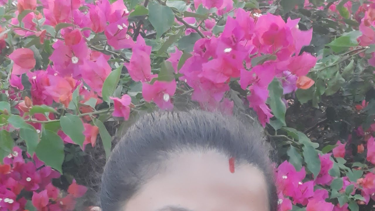 animal lover ritika #parrot lover #animal lover