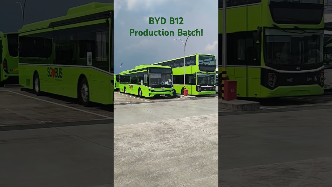 Poznaj partię produkcyjną autobus&oacute;w BYD B12! #singapur #transportpubliczny #autobus #byd #symfonia