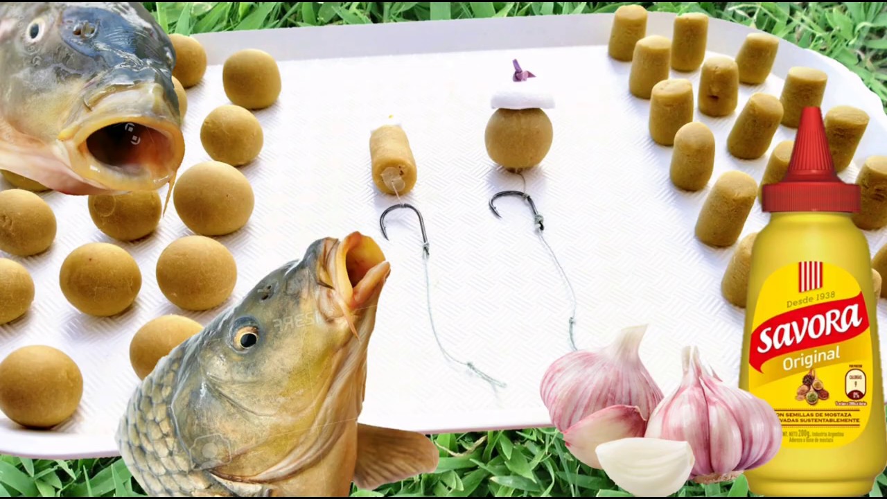 Pesca... masa para carpas (boilies de ajo y mostaza)