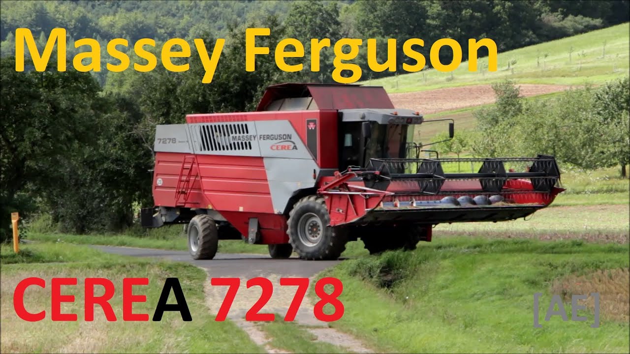 Erntezeit in Franken mit Massey Ferguson 7278 Cerea - Alex E