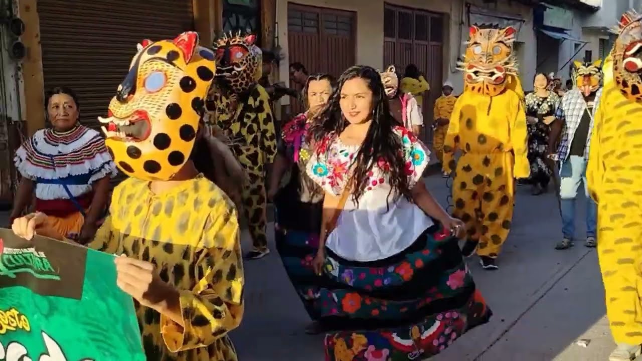 Recorrido de la Tigrada de Chilapa de Álvarez 2024