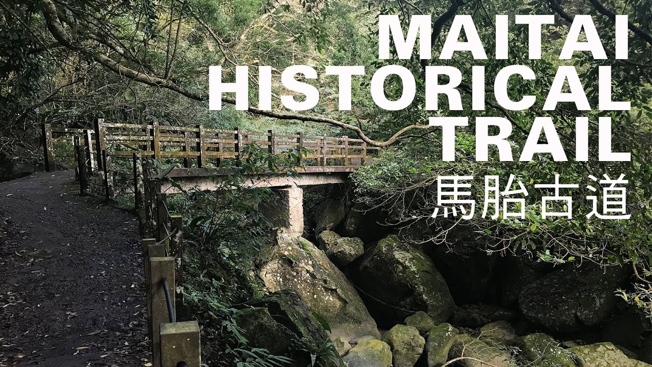 馬胎古道健行7km，新竹環走南坪古道，閒遊藤蔓森林及油羅溪畔螢火蟲天堂｜山上加美Lovely Hill