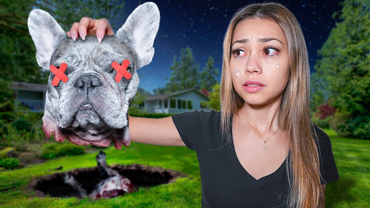 Who would do THIS to my Dog?! *SAD*