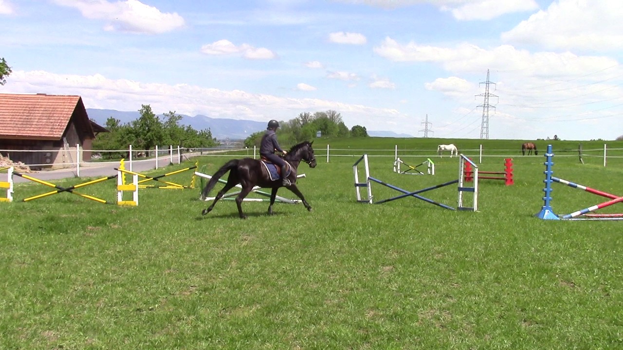 2017 05 21 Jordan erster Springparcours