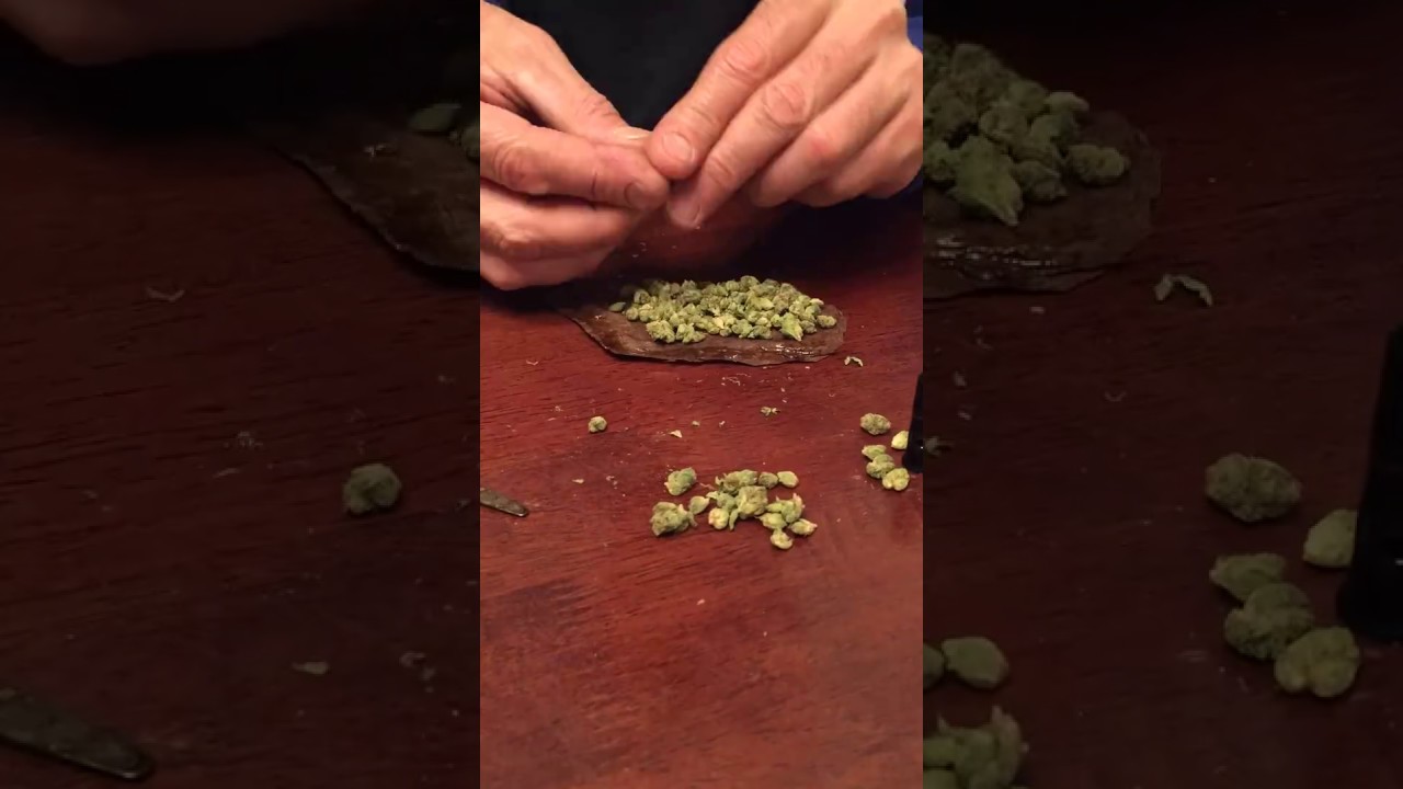 backwood rolling with @JerryKrecicki #rollwithJerryK
