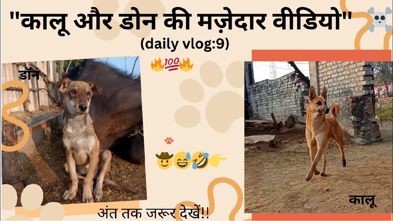 Kaalu and Don are having fun.!! (daily vlog:9).