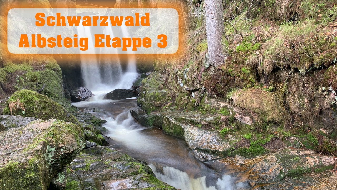 Schwarzwald Albsteig Etappe 3 von H&auml;usern bis Feldberg
