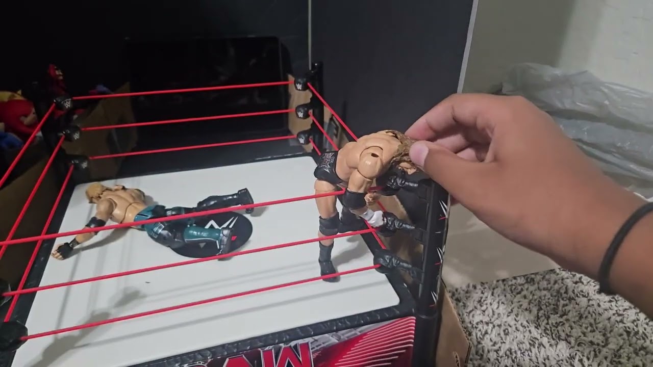 Triple H vsLogan Paul winner gets to fight Shawn Michaels or Randy Orton for the WCZ US championship