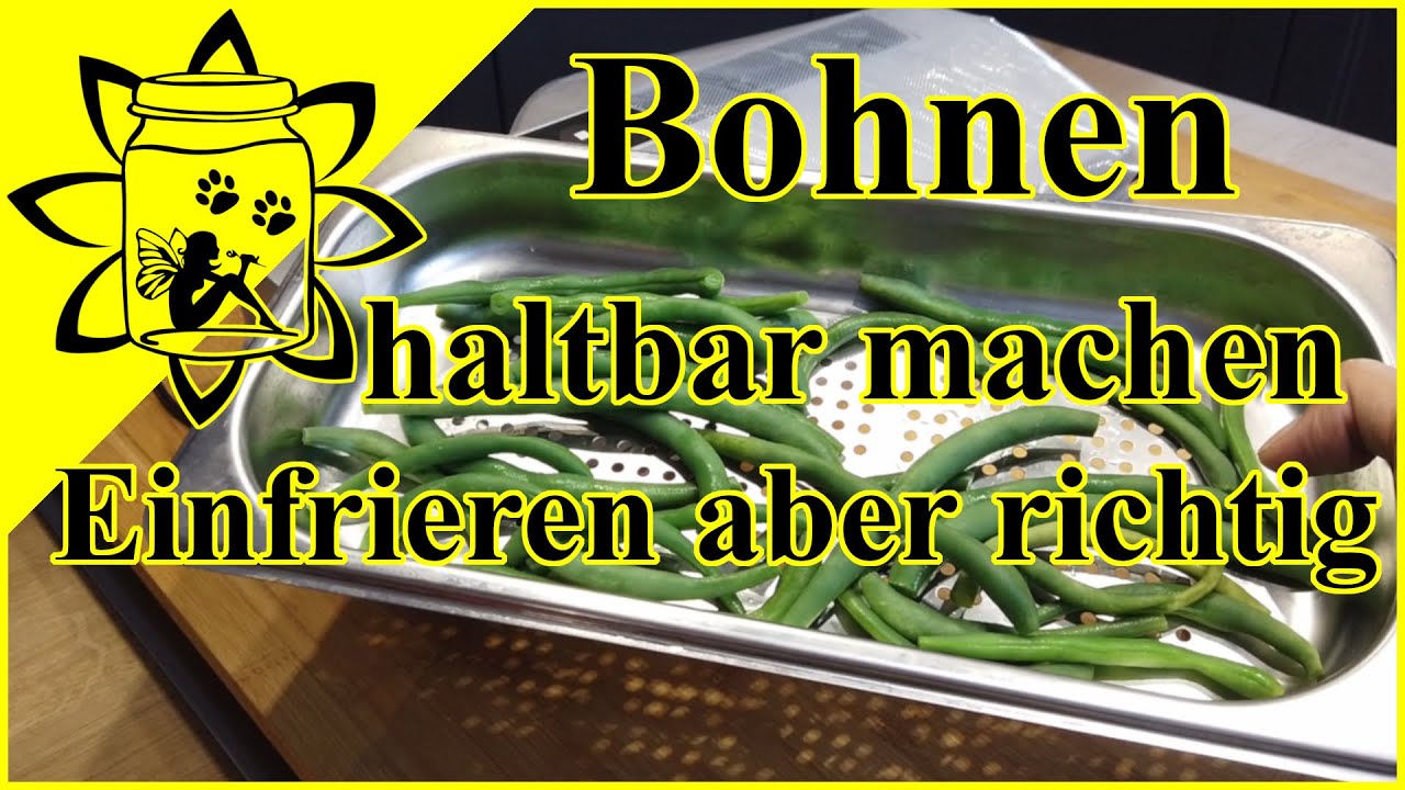 Bohnen haltbar machen |  Bohnen richtig einfrieren | blanchieren im Dampfgarer zum Einfrieren