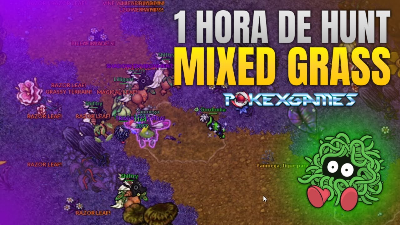 [PXG] UMA DAS MELHORES HUNTS PARA NATURIA! 1 HORA DE HUNT MIXED GRASS #211