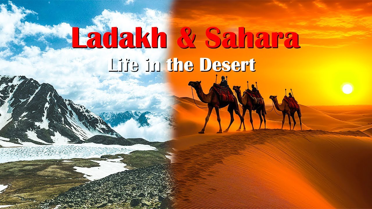 Ladakh & Sahara: Life in the Desert #education #ladakh #sahara #life #lifestyle