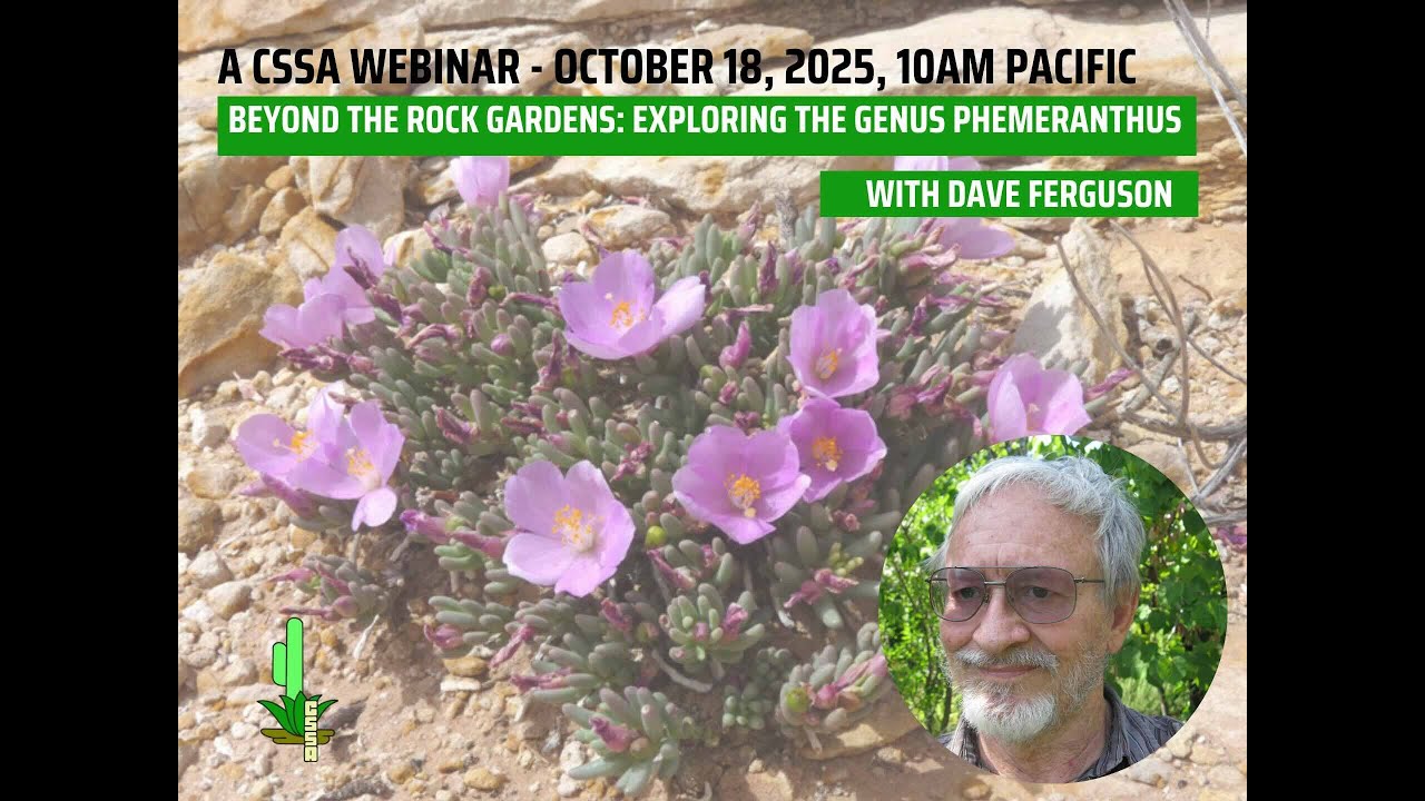 CSSA Webinar 20251018