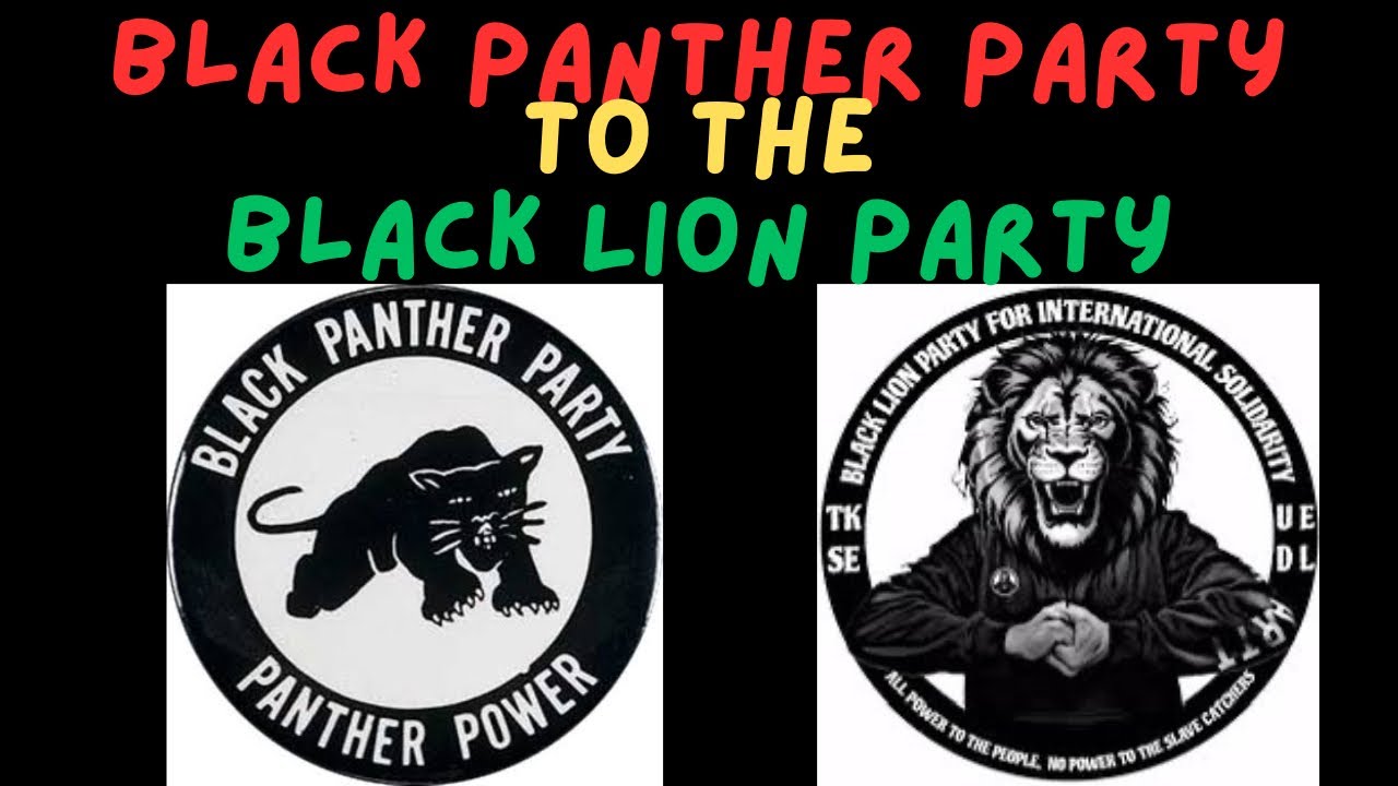 Episode 112: Black Panther to Black Lion