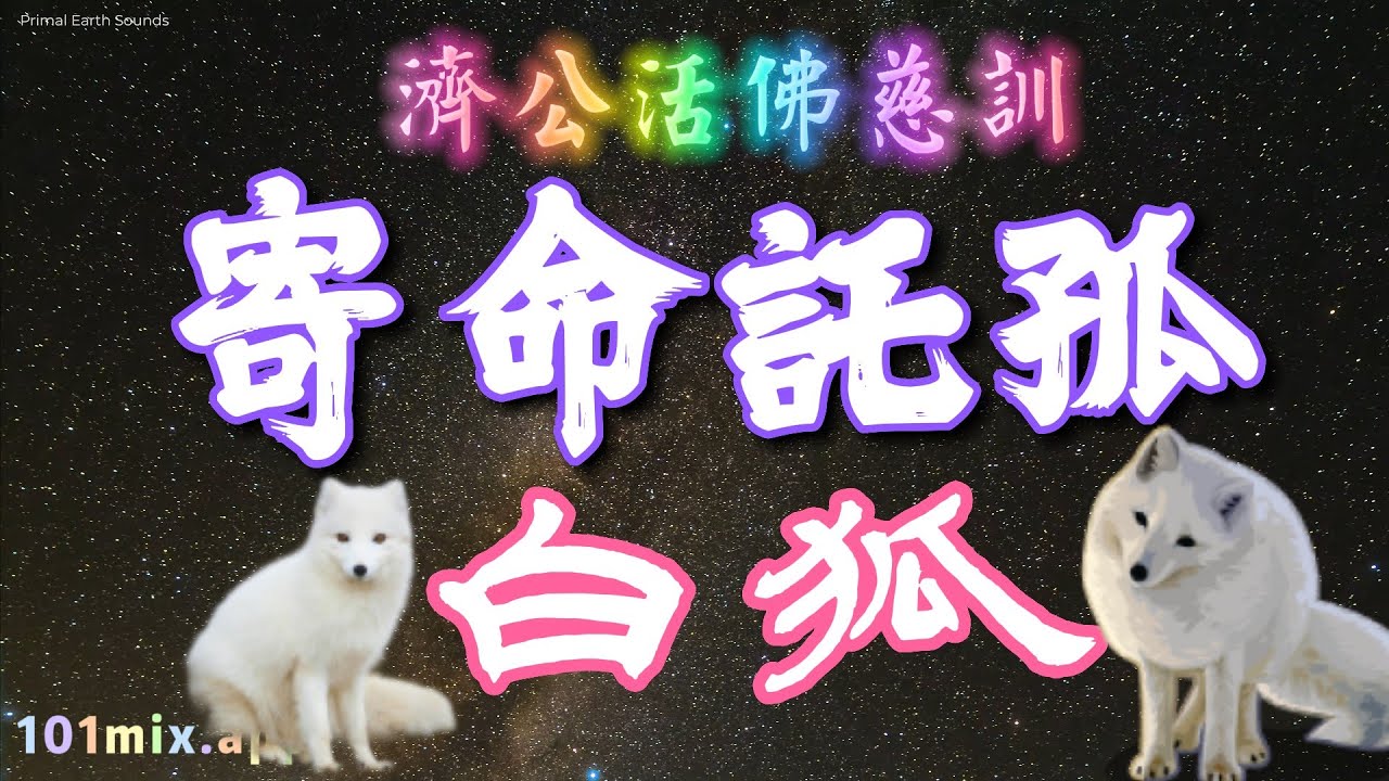 舊版 ❤白狐(陳瑞) ｜寄命託孤(善歌 調寄 語寄)