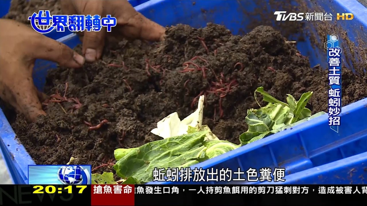找回蚯蚓青農夢 改善酸化土壤更健康 世界翻轉中 20170514