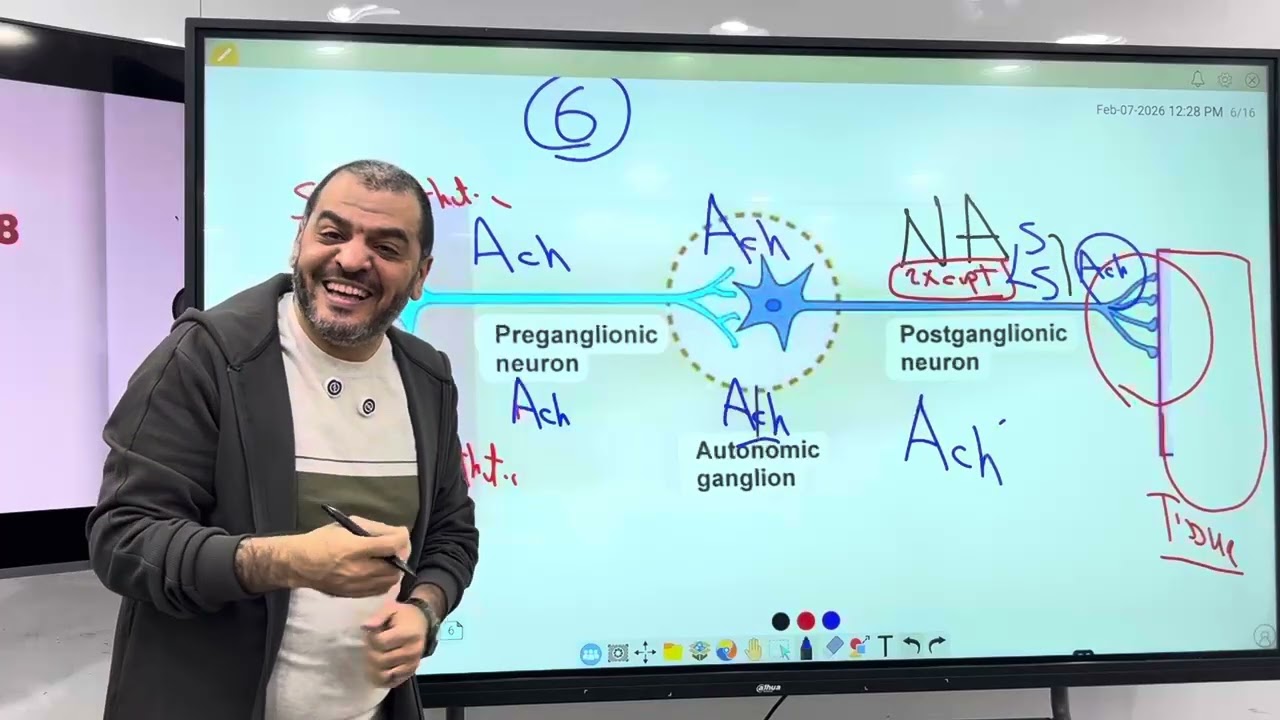 Intro  ANS (208)  KASR ALAINY  2026