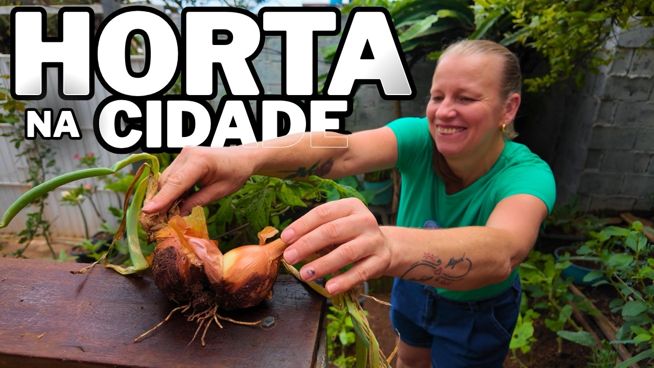 Como manter uma horta em pequenos espaços ? HORTA NA CIDADE 🌱