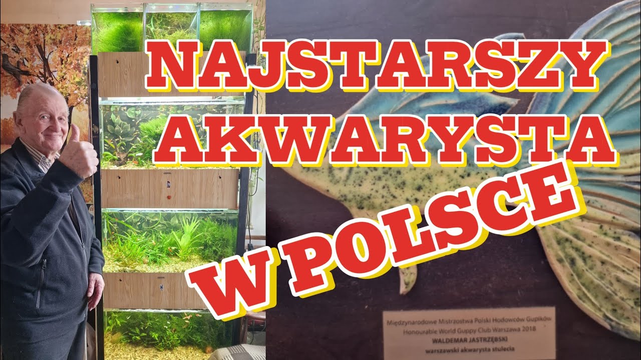 Najstarszy akwarysta w Polsce - Waldemar Jastrzębski