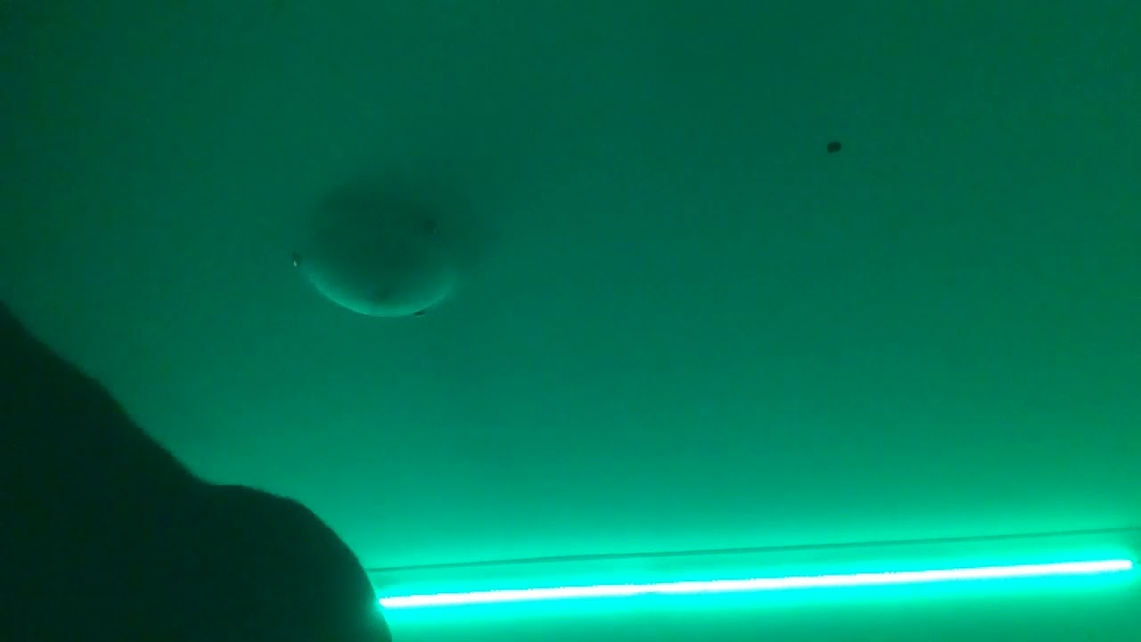ASMR crinkly triggers with a chill af background