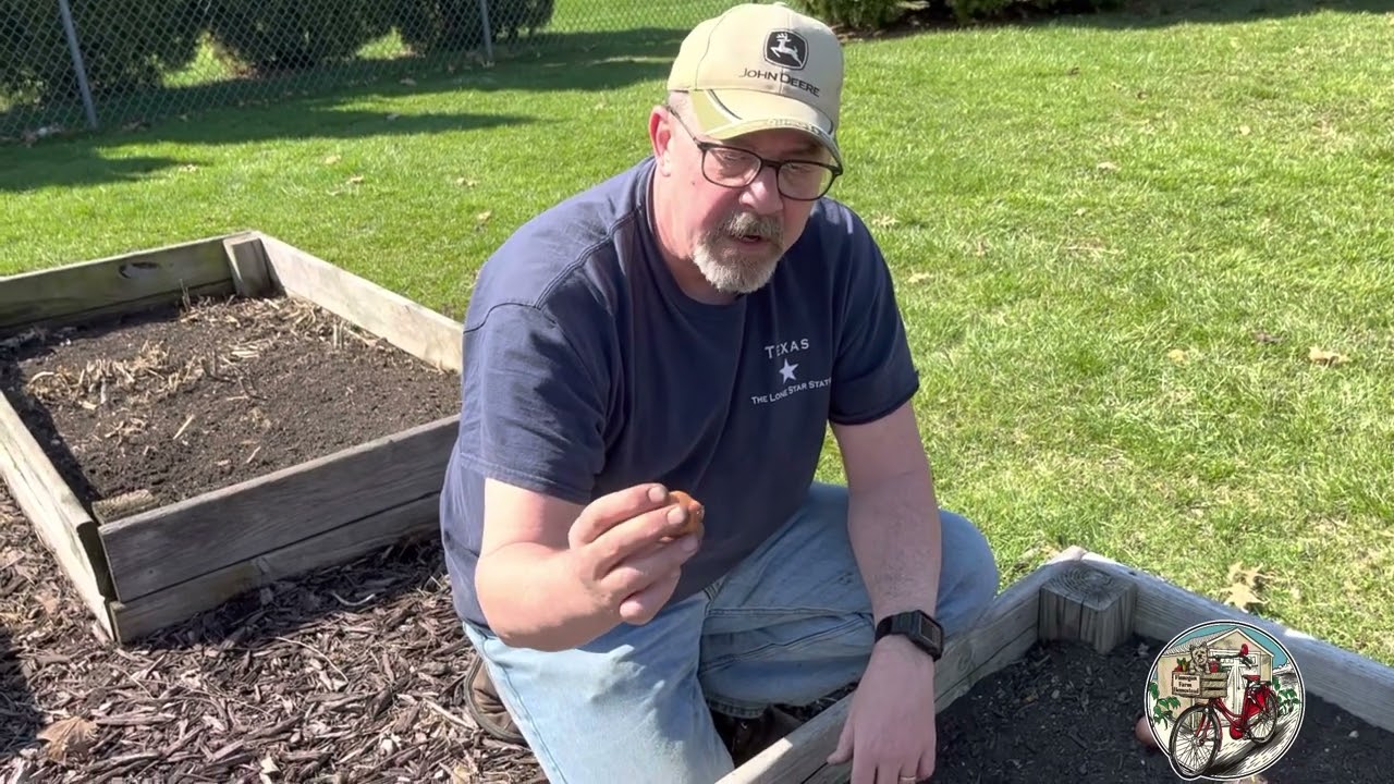 Planting Pinto Fingerling Potatoes And More