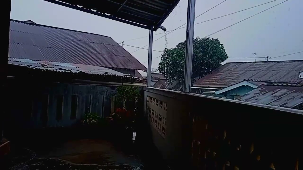 Relaxing in the rain in the yard