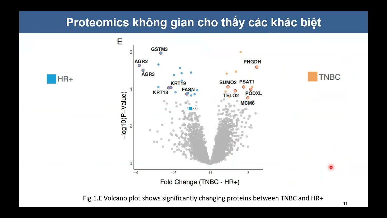 Immunology_seminar 61. Spatial proteomic analysis of breast cancer