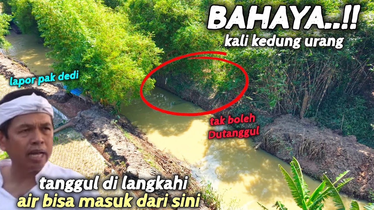AH GAWAT❗️BAPAK KEMAREN MEMANG GAK MAU TANAHNYA DITANGGUL NORMALISASI KAYAK SIA SIA AIR BISA BABLAS