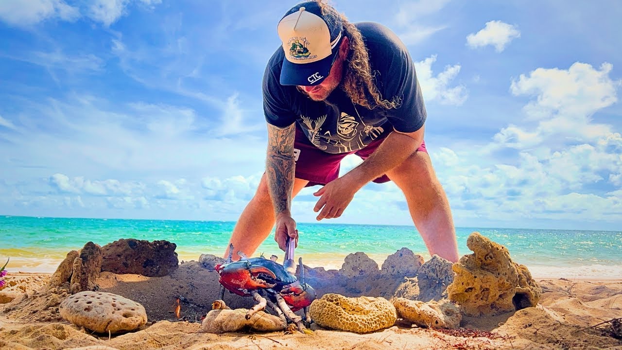 BIG JUICY MUD CRABS; Catch AND Cook; Modern & Traditional Cook!!