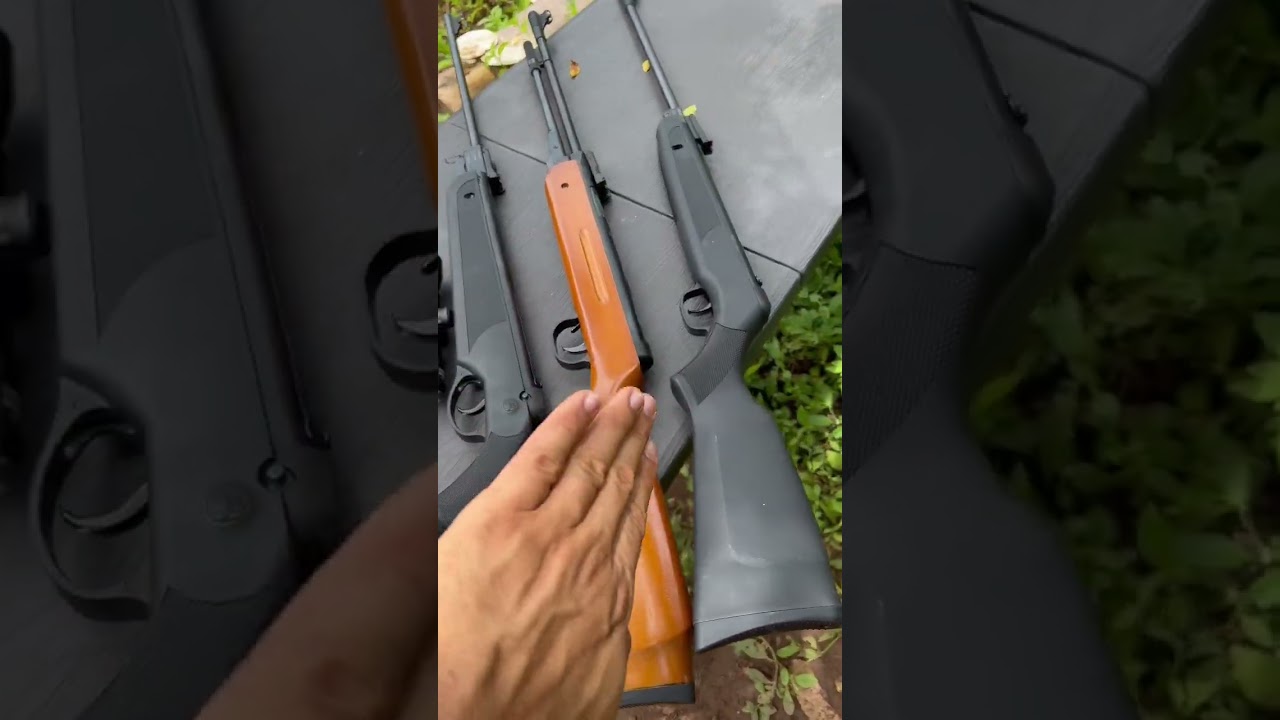 Carabina - Qual a melhor pra Come&ccedil;ar ?
