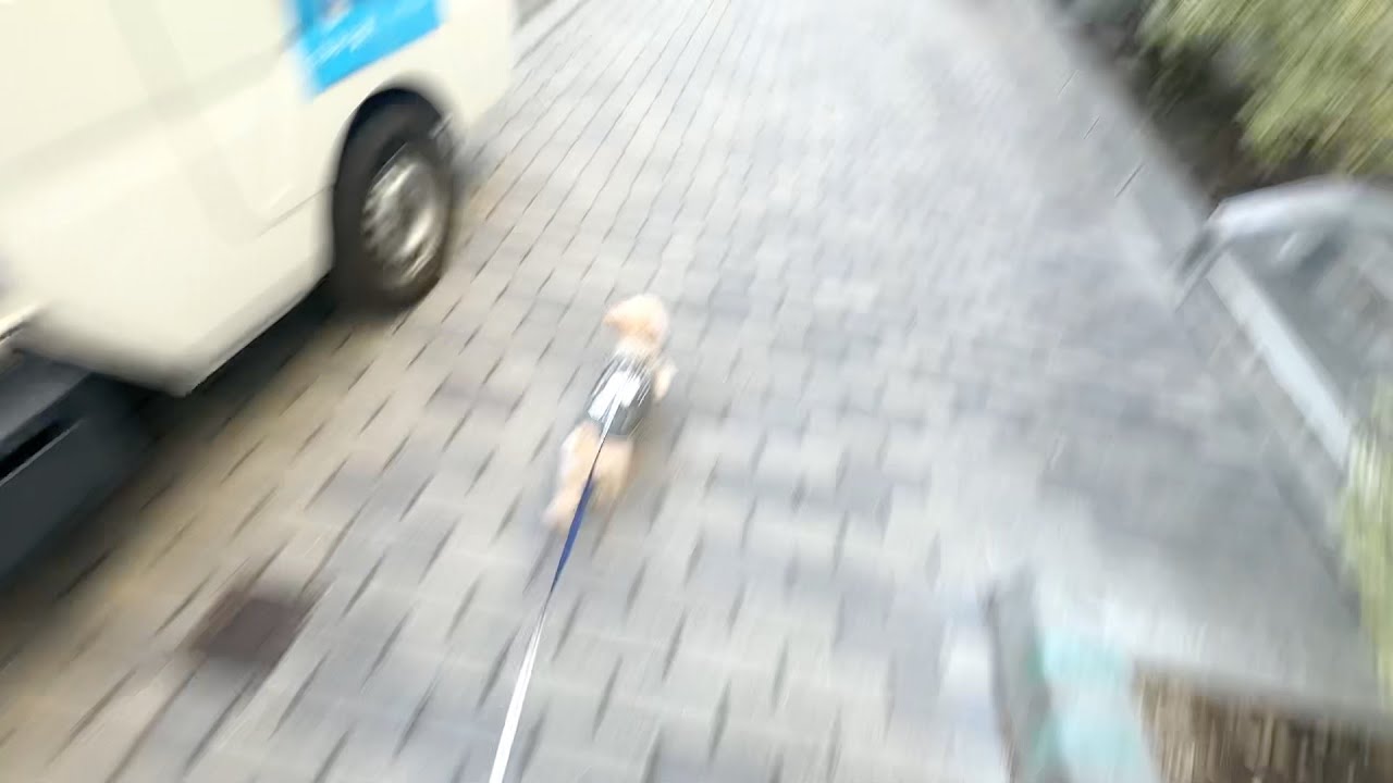 走れトノス
