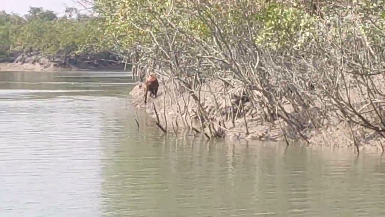 Today sitting 30 November