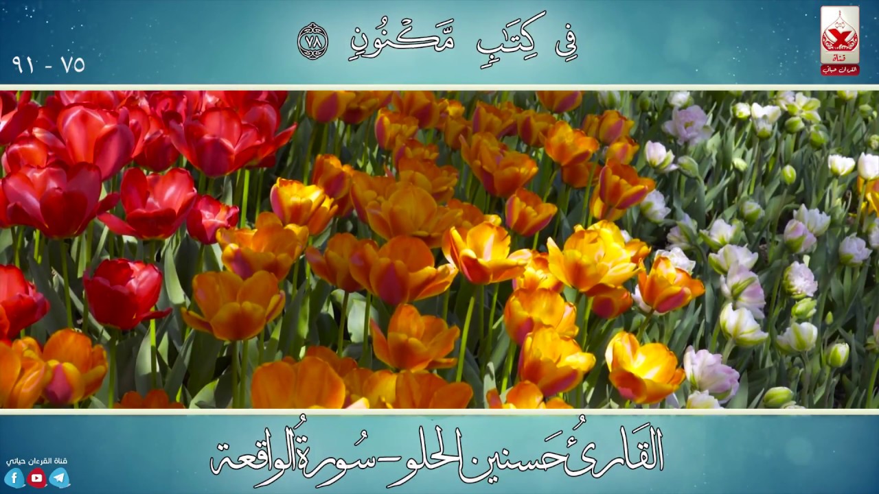 ◈ القارئ المبدع حسنين الحلو ورائعة سورة الواقعة (ممنتجة HD) ◈