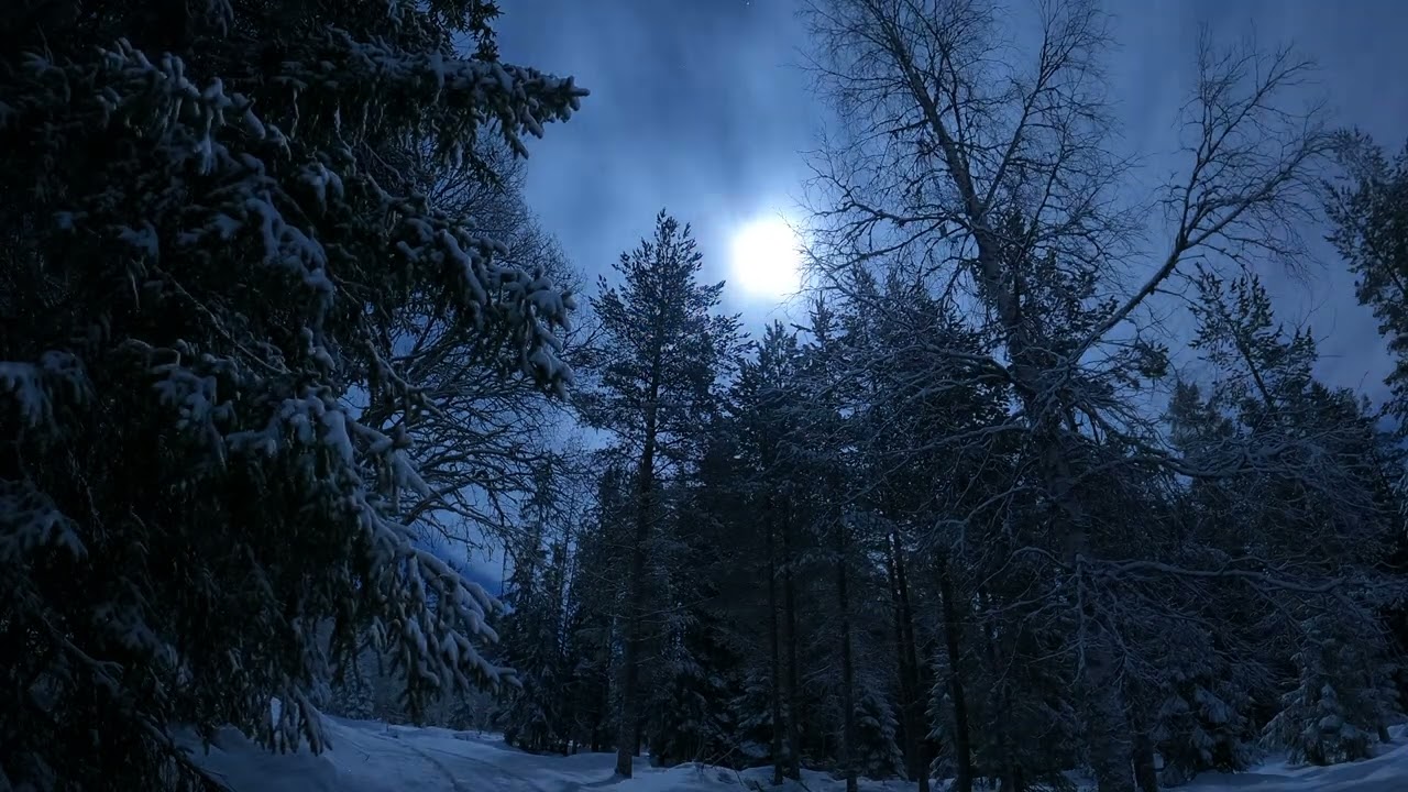 Dark night and moon timelapse - Copyright Free Videos