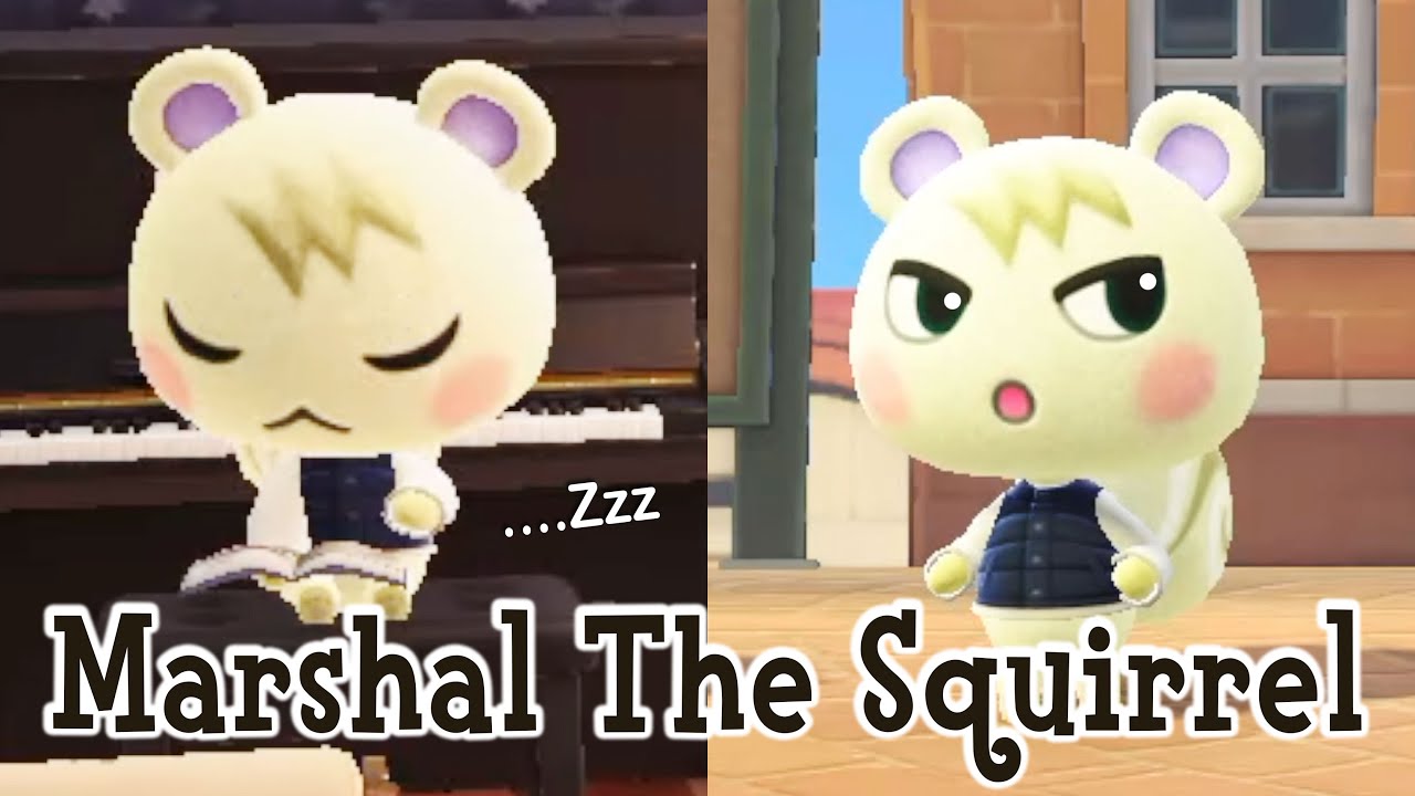 Marshal The Squirrel Smug Villager Animal Crossing New Horizons ACNH