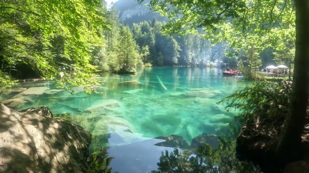 Beautiful View ...    #Blausee #Lake #Swissdays #gopro #travel #family  #video #232