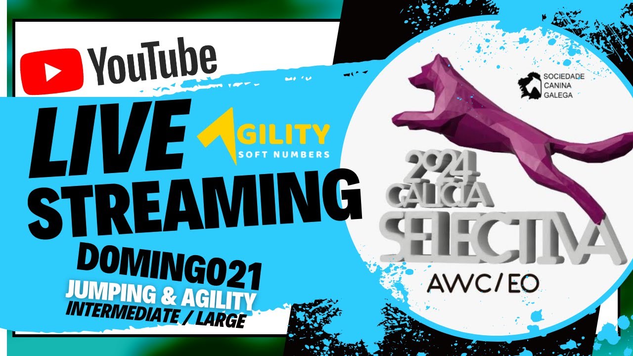 SELECTIVA AWC & EO - GALICIA 2024 (Domingo 21 - Intermediate & Large)