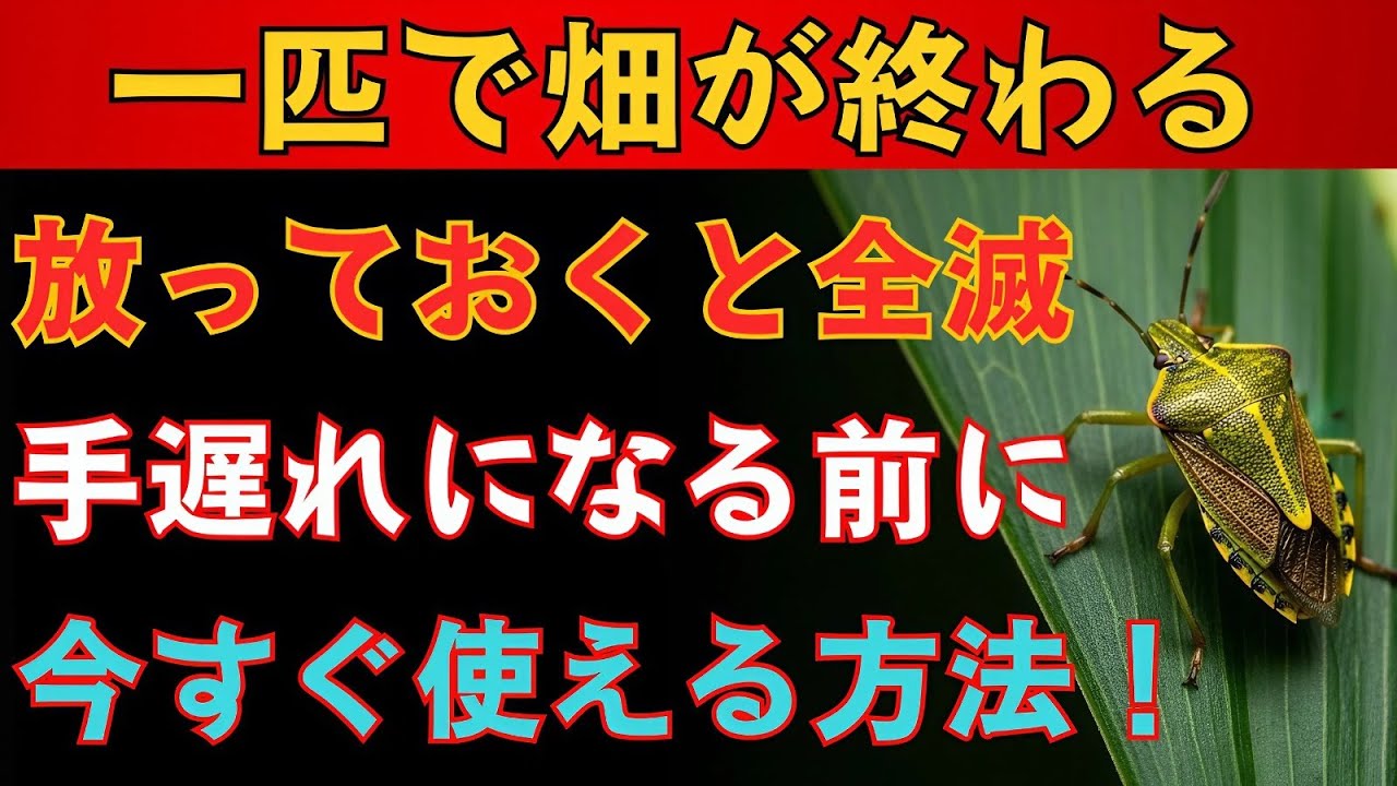 カメムシを一匹でも見つけたら、この対策を知らないと危険です。