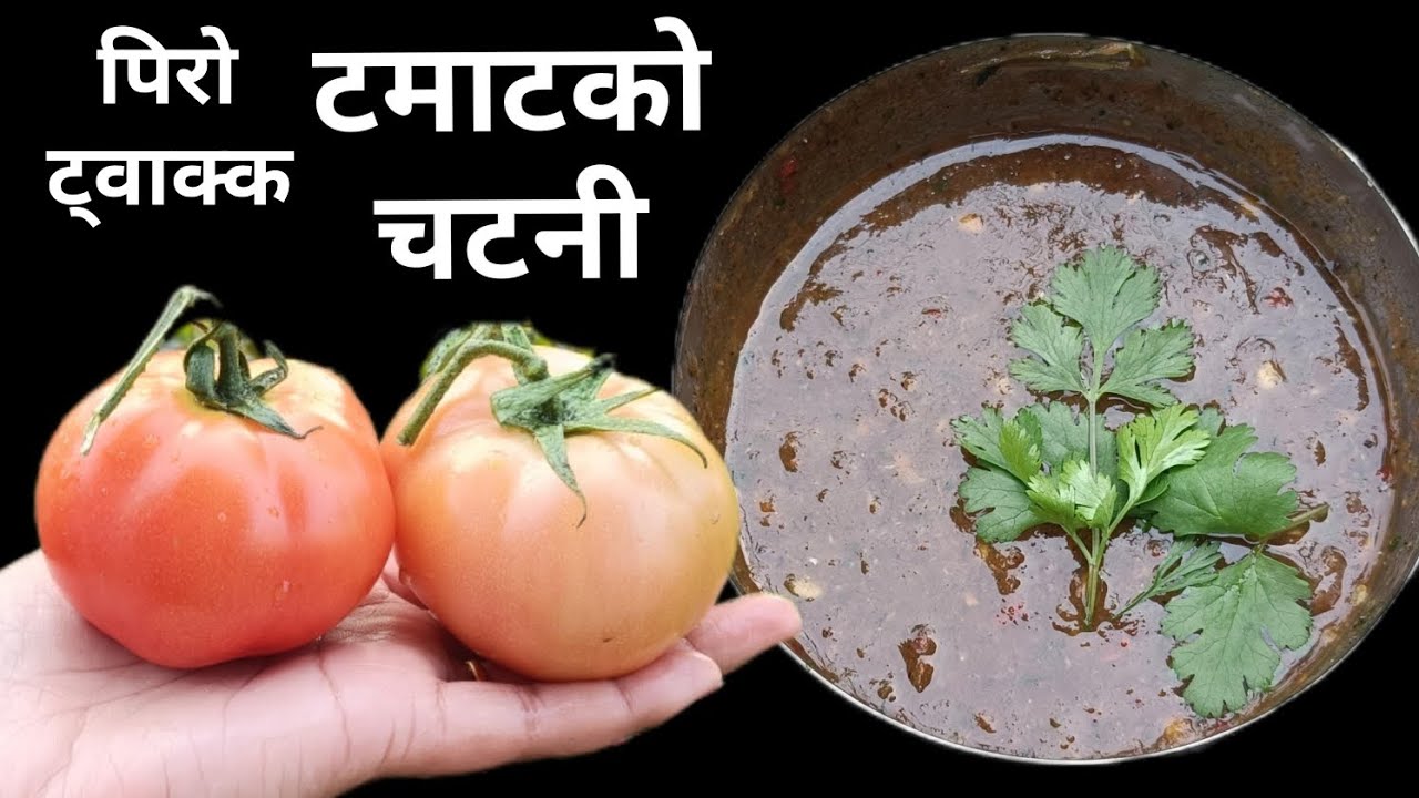 टमाटरको चटनी I नेपाली तरिकाले ट्वाक्क परेको टमाटरको अचार / tomato pickle / easy to make tomato achar